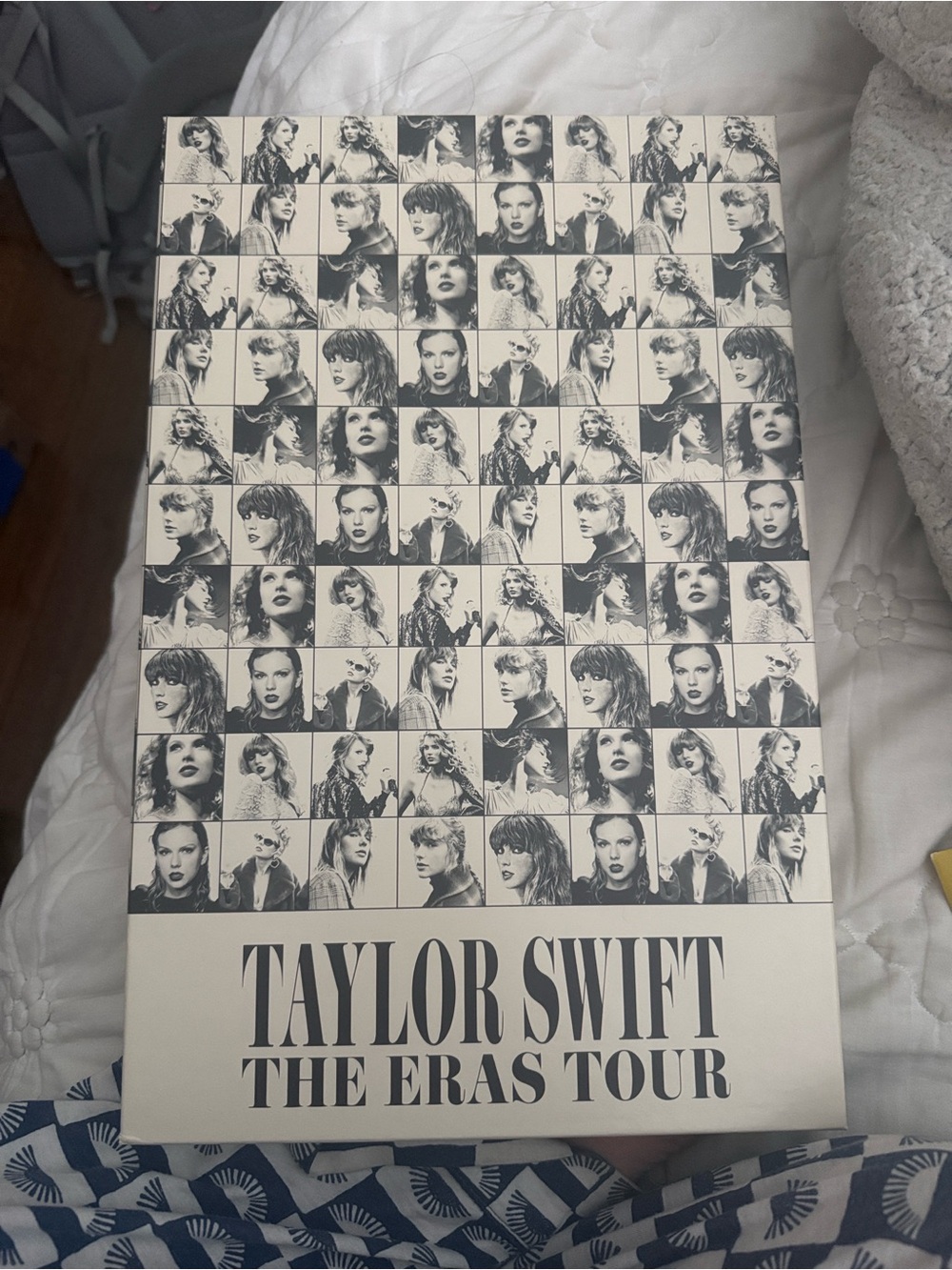 Taylor Swift Eras Tour VIP Box